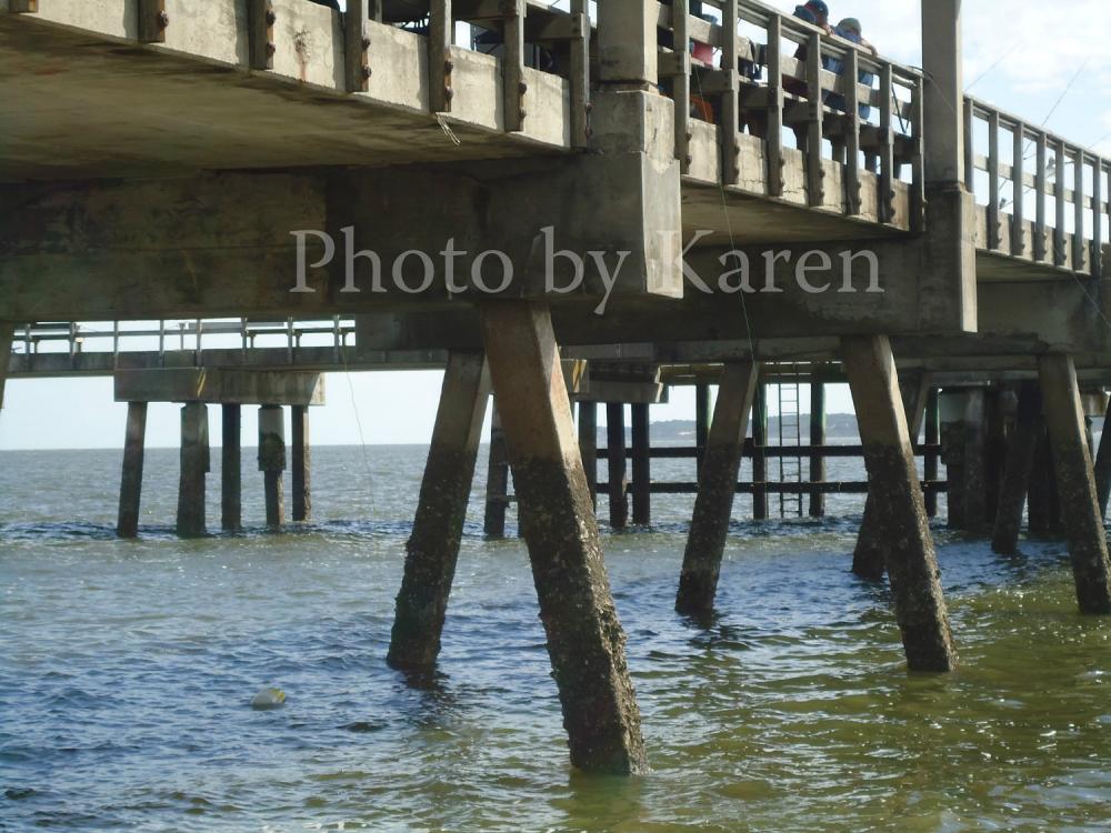 Under Tides 5 X 7 Original Photograph, Other Sizes Available