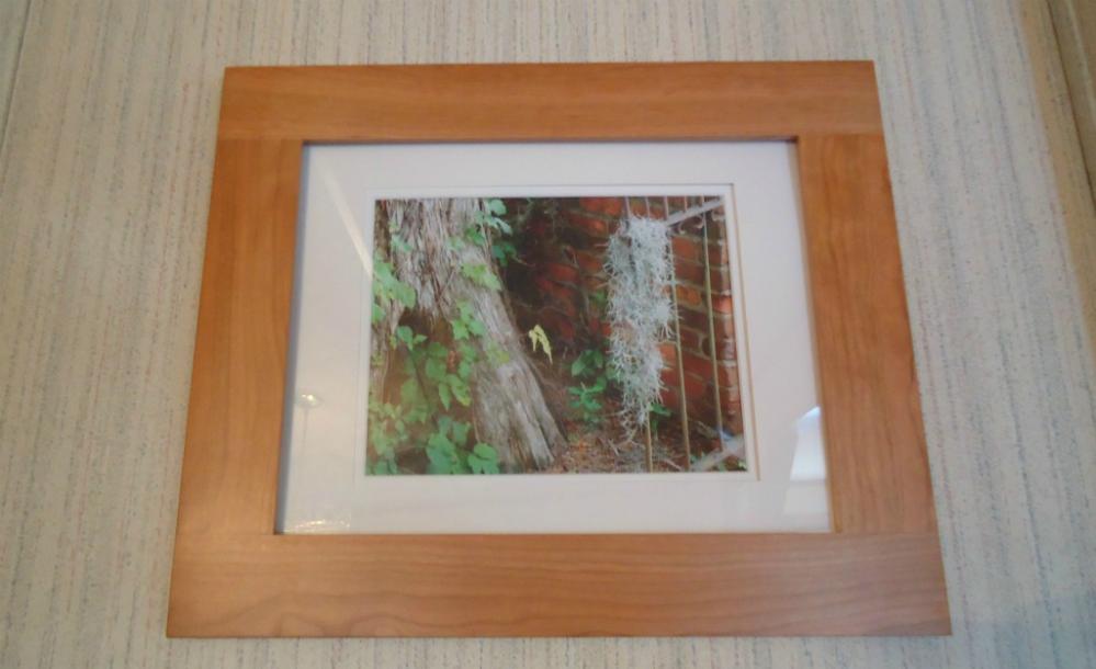 Lost Moss Wood Framed And Ivory Matted Original Photograph